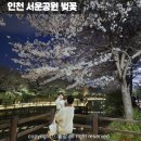 서운체육공원 (계양체육관) | 인천 벚꽃 만개한곳 서운체육공원 계양체육관 서운교 살라리교