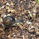 명주농장 이미지