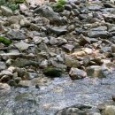 느티골길 이미지