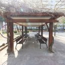 동일공인중개사사무소 이미지