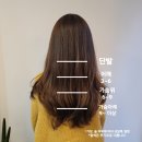 살롱디라홍