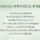 팀터틀랫 장유점 이미지