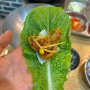 청대불고기 | [청대불고기] 청주대 중문 맛집 점심 메뉴 추천