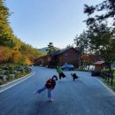 자연알로(서천) 이미지