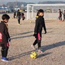 백마강생활체육공원 축구장 이미지