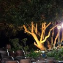 제주 서귀포 쇠소깍 이미지