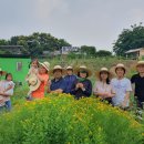 생기발랄 문화재단 프로그램 광명텃밭보급소 &#34;나는 농부다&#34; 이미지