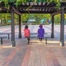 (Mar.21st Sat) S. Korea Faces Huge Shortage of Care Workers 이미지