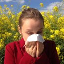알레르기 이미지