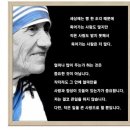 테레사 이미지