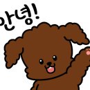 살롱드 댕댕 이미지