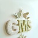 GMS(지엠에스)