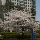 아껴줄개 | 남는 발목 있어? 그럼 아껴 써