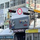 양동청과
