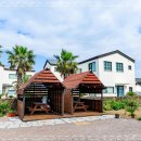 아모르데이 이미지