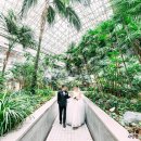 무용극 반짝반짝 그 찬란한 날 | 청심홀 본식스냅 | 서울법원종합청사 웨딩홀 후기 | 서울법원웨딩홀 | 서울법원청사결혼식장 | 법원...