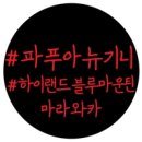 뉴하이랜드