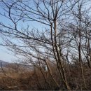 주천면무릉보건진료소 이미지