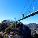 일암다리 이미지