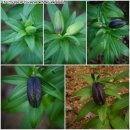 개화농장 이미지