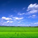 일등농장 이미지