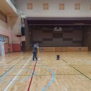 도이초등학교 이미지