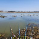 남양호 상류 이미지