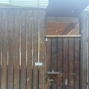 오후펜션 | 가평 자쿠지있는 풀빌라 독채펜션 ‘낮잠’ 오후 1시 방문 후기