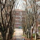 평택축산 이미지