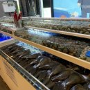 뽑기맛집 이미지