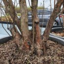 정금농장 이미지