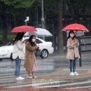 소나비 이미지