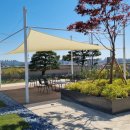 그늘막5 이미지