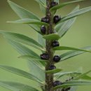 고래실길 이미지