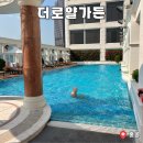 홍콩가든 | 홍콩 침사추이 호텔 더로열가든 2박 솔직 후기 (수영장, 조식)