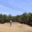 구지신 네이버블로그