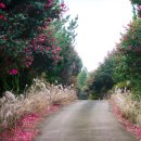 신흥2리마을 이미지