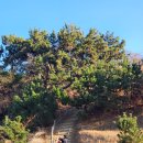 초심민박 | 훌쩍 떠나고싶을때 먹방여행 이수도 1박3식