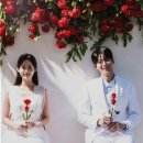 울산본식스냅웨딩박람회