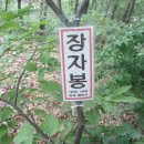 육령2리 티스토리