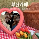 예쁘댕 | [ 부산시민공원피크닉 ] ❛ 부산시민공원 / 시민공원피크닉 / 피크닉세트대여 - 그날의 피크닉❜