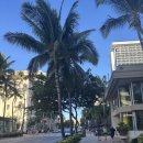 커피앤빈티지 | [하와이] 아일랜드 빈티지 커피/와플앤베리, Waikiki 아사이볼 투탑 카페 후기💗🍓