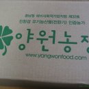 원통골농장 | 비염에 좋다는 수세미즙, 쭌이도 양원농장 친환경 수세미즙 마셔요