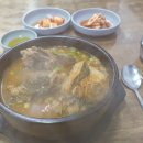 서울뼈해장국 Daum카페