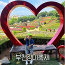 부천농업협동조합 | 부천 장미축제 실시간 후기｜백만송이장미원 만개 상태, 주차·가는길
