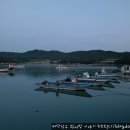 진도대교 민박 이미지