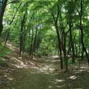 목동남로 이미지