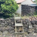 어 타이니 리틀피스 이미지