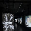넷티즌월드 | '권다정'의 품격! 지드래곤, 20주년 빅뱅 월드투어 중 카메라 감독 낙상 위기 구한 사연