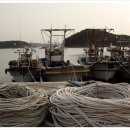 천리포선착장 이미지